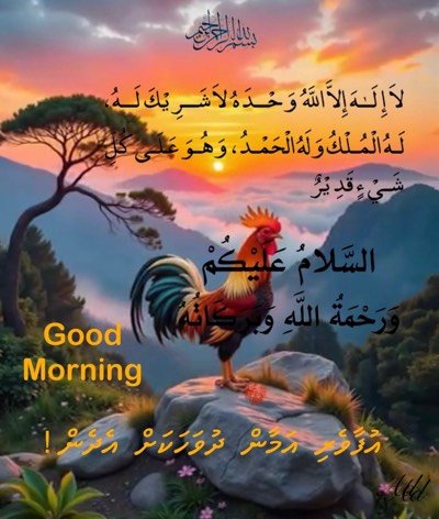 I need a app developer