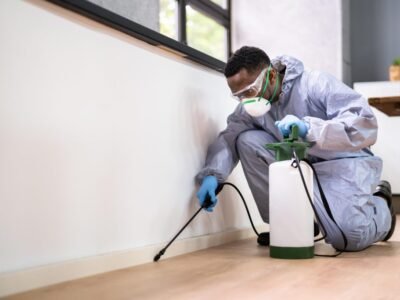 Pest Control Service